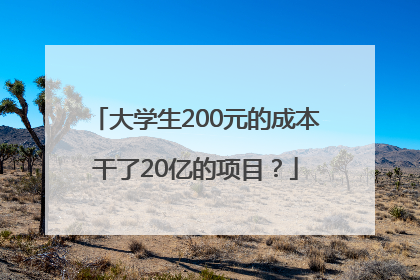 大学生200元的成本干了20亿的项目？